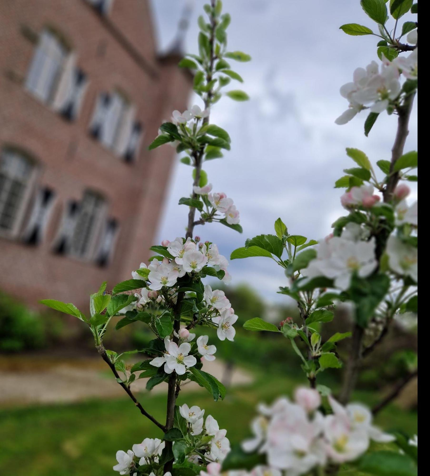 Kasteel Aldenghoor Bed & Breakfast Haelen Eksteriør bilde