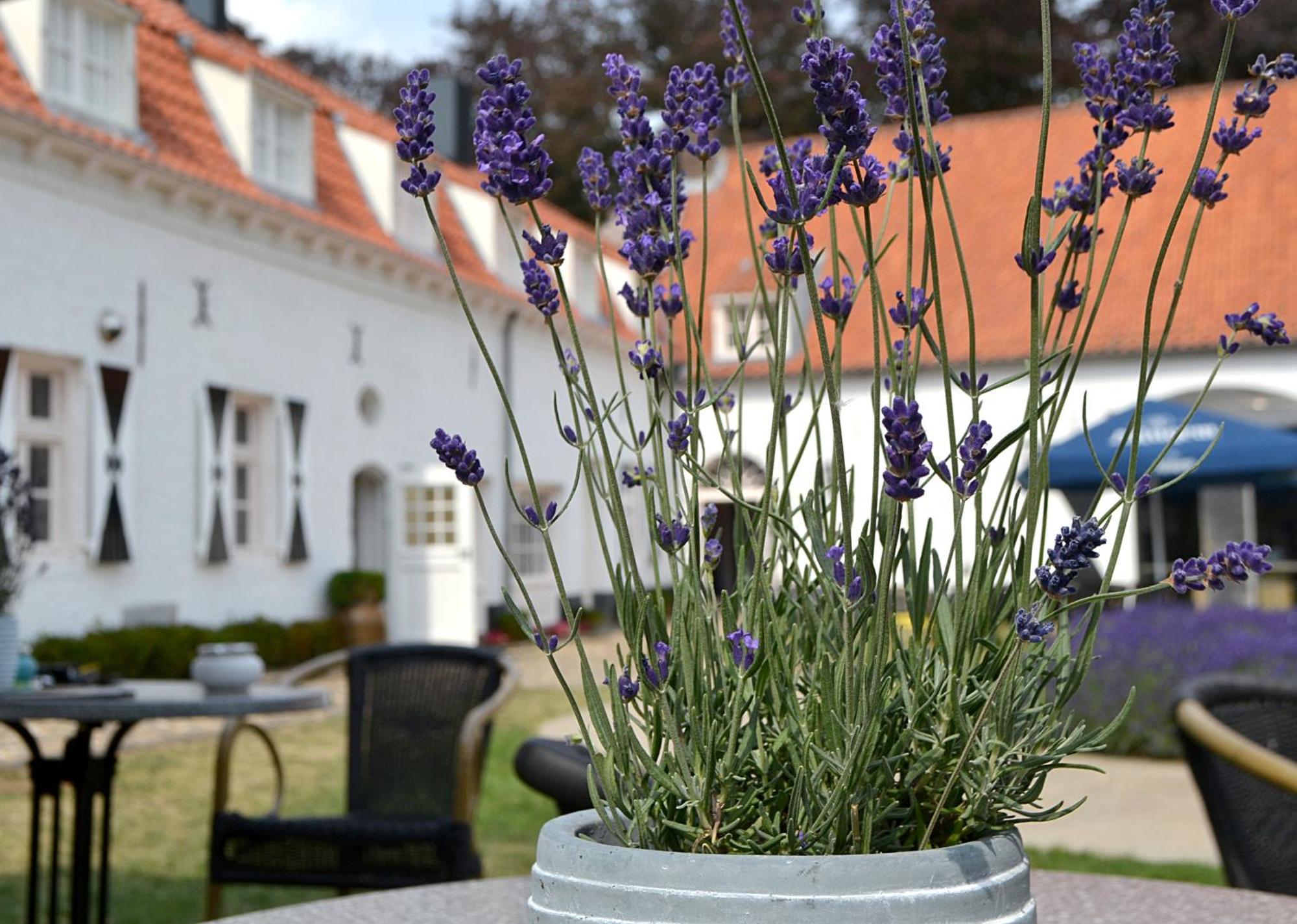Kasteel Aldenghoor Bed & Breakfast Haelen Eksteriør bilde